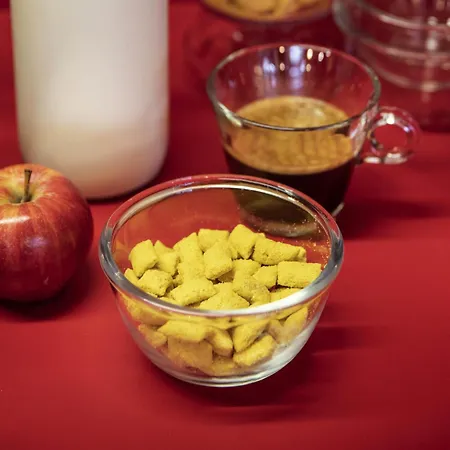 호텔 Hotelf1 Toulouse 라몬빌생아그네